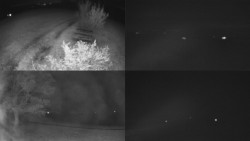 Sdružený snímek Bludný