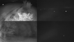 Sdružený snímek Bludný