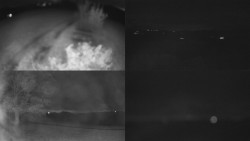 Sdružený snímek Bludný