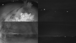 Sdružený snímek Bludný