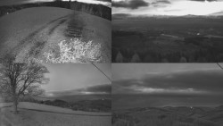 Sdružený snímek Bludný