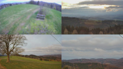 Sdružený snímek Bludný