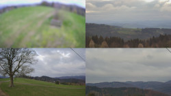 Sdružený snímek Bludný