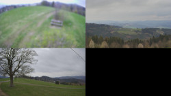 Sdružený snímek Bludný