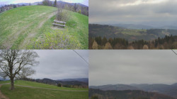 Sdružený snímek Bludný