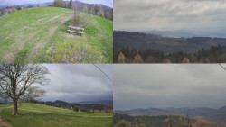 Sdružený snímek Bludný