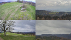 Sdružený snímek Bludný