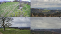 Sdružený snímek Bludný