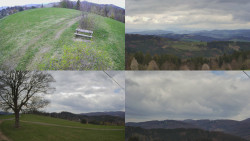 Sdružený snímek Bludný