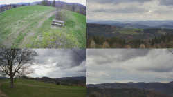 Sdružený snímek Bludný