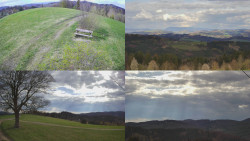 Sdružený snímek Bludný