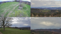 Sdružený snímek Bludný