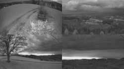 Sdružený snímek Bludný