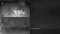 Sdružený snímek Bludný