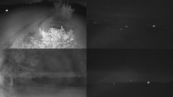 Sdružený snímek Bludný