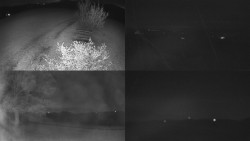 Sdružený snímek Bludný