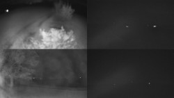 Sdružený snímek Bludný