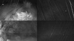 Sdružený snímek Bludný