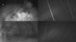 Sdružený snímek Bludný