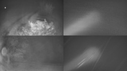 Sdružený snímek Bludný