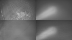 Sdružený snímek Bludný