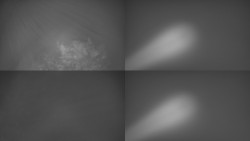 Sdružený snímek Bludný