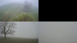 Sdružený snímek Bludný