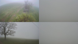 Sdružený snímek Bludný