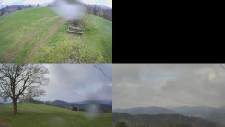 Sdružený snímek Bludný