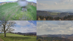 Sdružený snímek Bludný