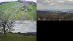 Sdružený snímek Bludný