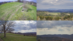 Sdružený snímek Bludný