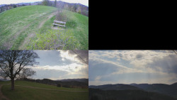 Sdružený snímek Bludný