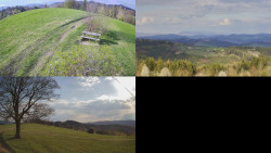 Sdružený snímek Bludný