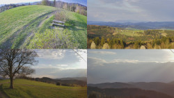 Sdružený snímek Bludný