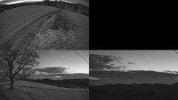 Sdružený snímek Bludný