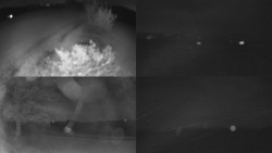 Sdružený snímek Bludný