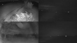 Sdružený snímek Bludný