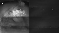 Sdružený snímek Bludný