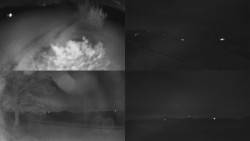 Sdružený snímek Bludný