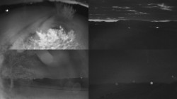 Sdružený snímek Bludný