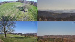 Sdružený snímek Bludný