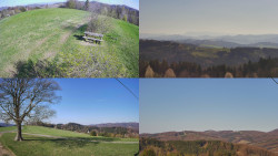 Sdružený snímek Bludný