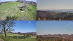 Sdružený snímek Bludný