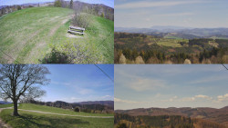 Sdružený snímek Bludný