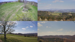 Sdružený snímek Bludný