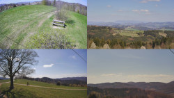 Sdružený snímek Bludný