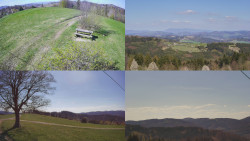 Sdružený snímek Bludný