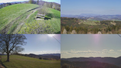 Sdružený snímek Bludný