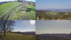 Sdružený snímek Bludný